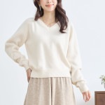 V�ͥå��˥åȥץ륪���С�