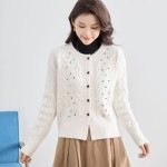 ����ե�饤�󥹥ȡ����դ������ǥ�����