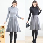 �ץ꡼�����إߥǥ���˥åȥ��ԡ���