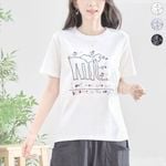 ��ˡ�����������ɽ�T�����