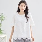 �����ɽ�������åץǥ�����졼���ȥåץ�