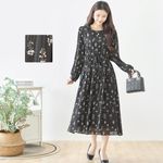 �������㡼���Ĵ�ƥ�������Ĺµ���ԡ���