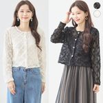 �졼�����硼�ȥ����ǥ�����