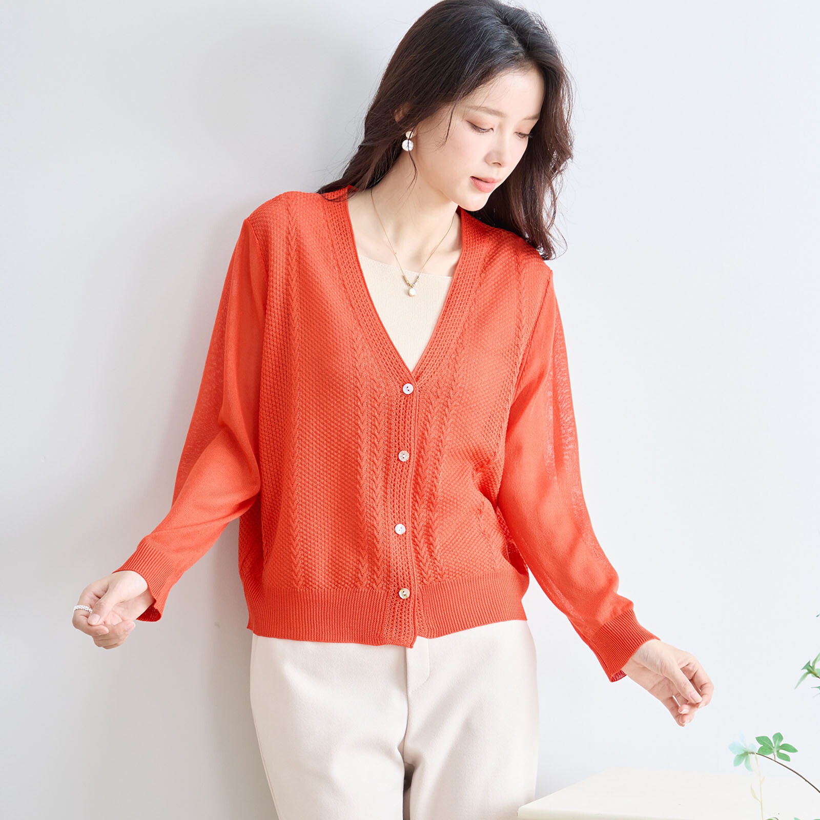 �����֥��Ԥ���V�ͥå������ǥ�����(��������)