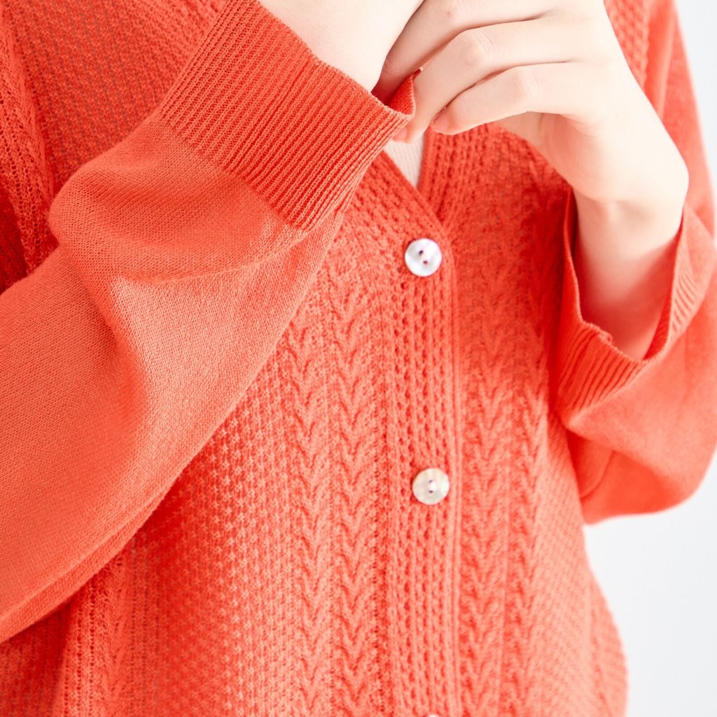 �����֥��Ԥ���V�ͥå������ǥ�����(��������)