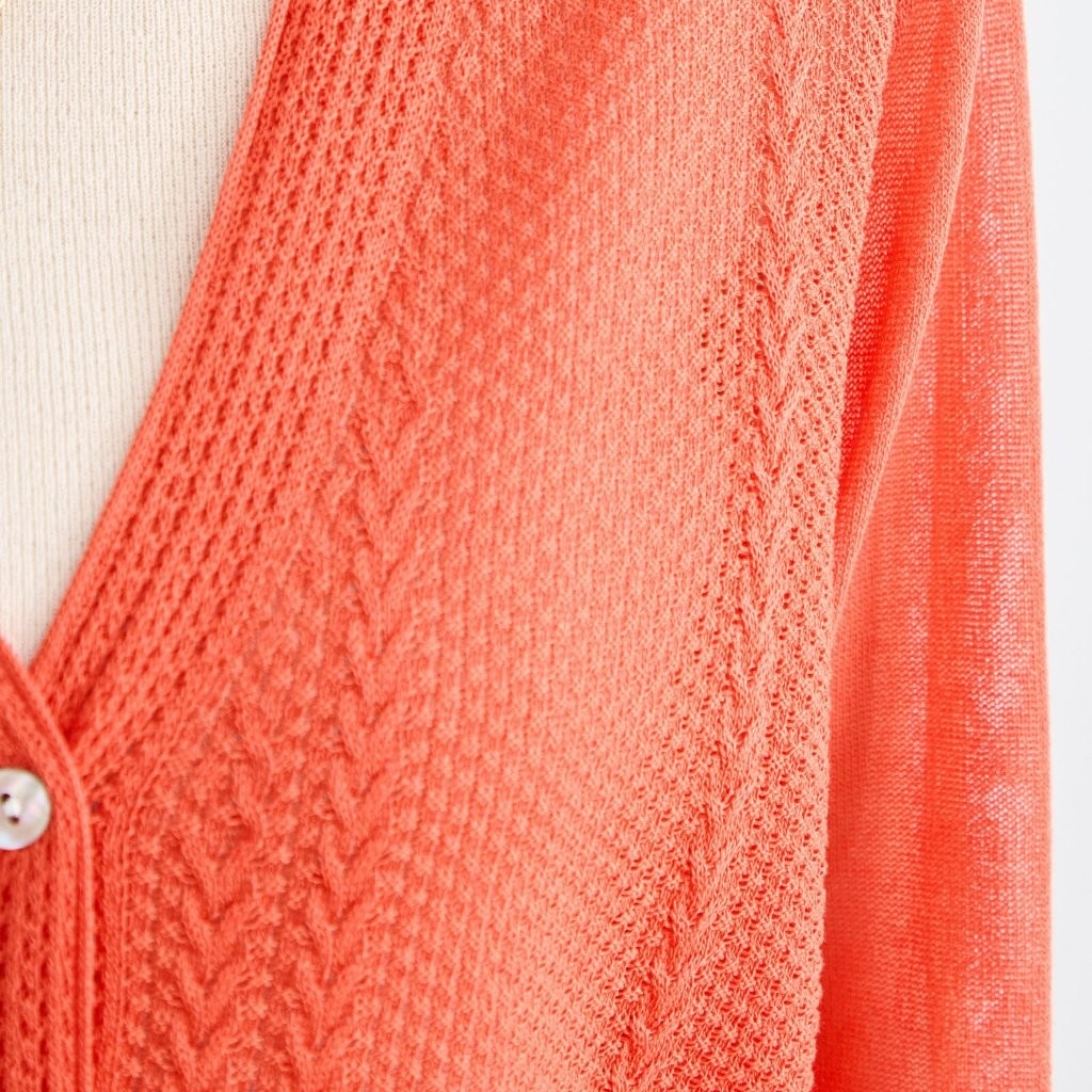 �����֥��Ԥ���V�ͥå������ǥ�����(��������)