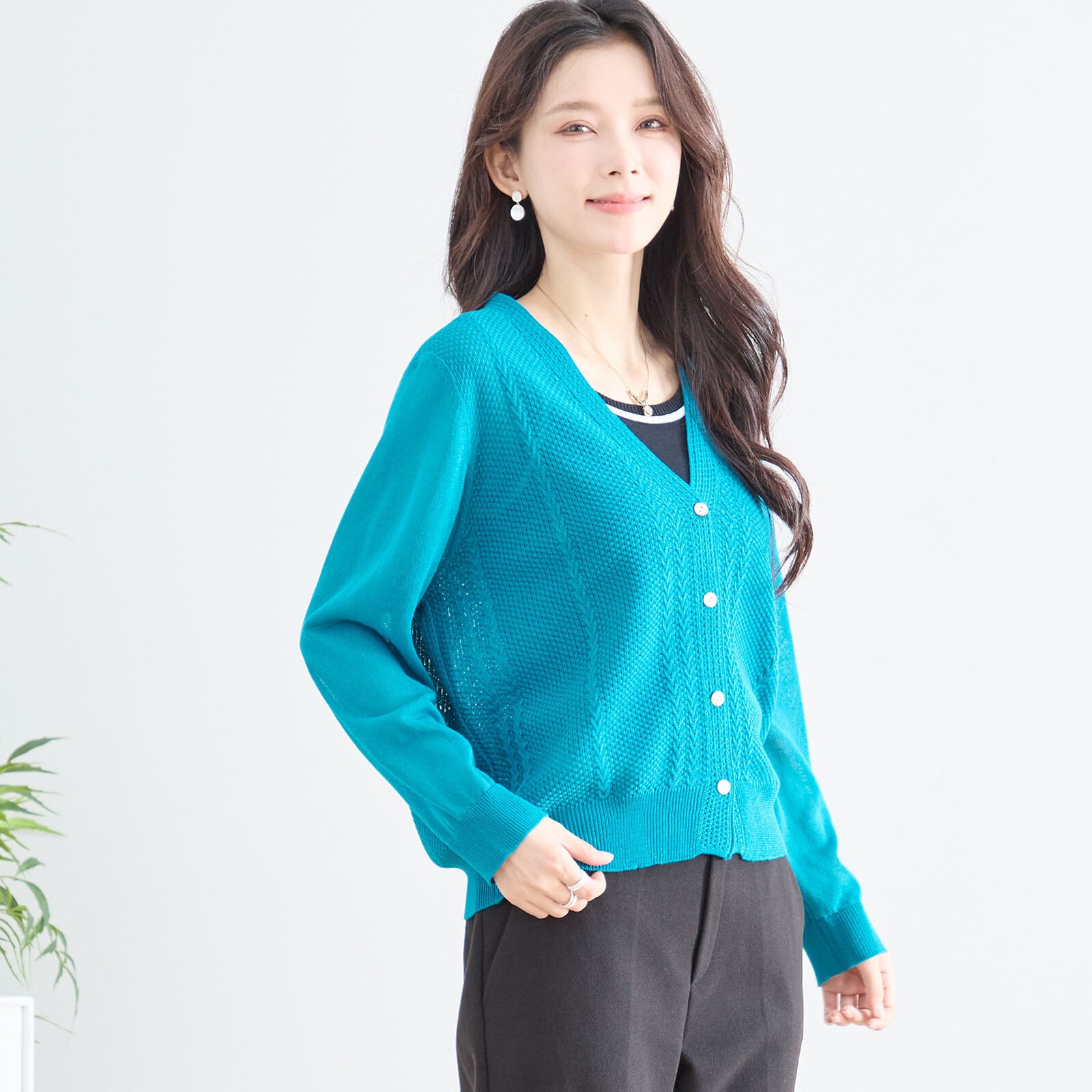 �����֥��Ԥ���V�ͥå������ǥ�����(��������)