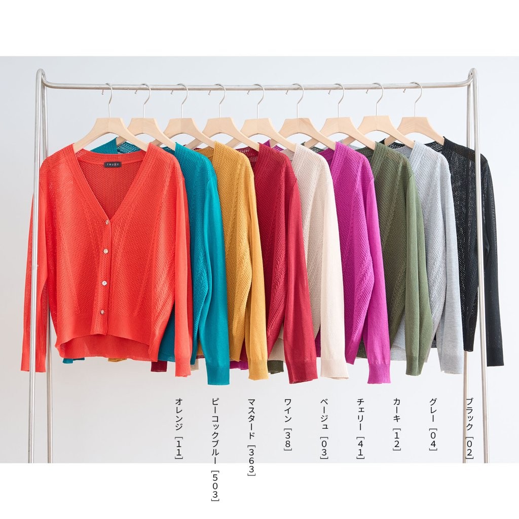 �����֥��Ԥ���V�ͥå������ǥ�����(��������)