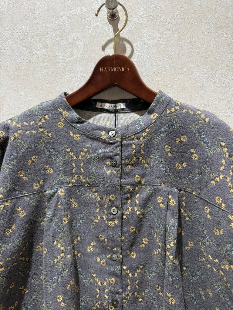 �Х�ɥ��顼���åȥ�ӥ��饷���