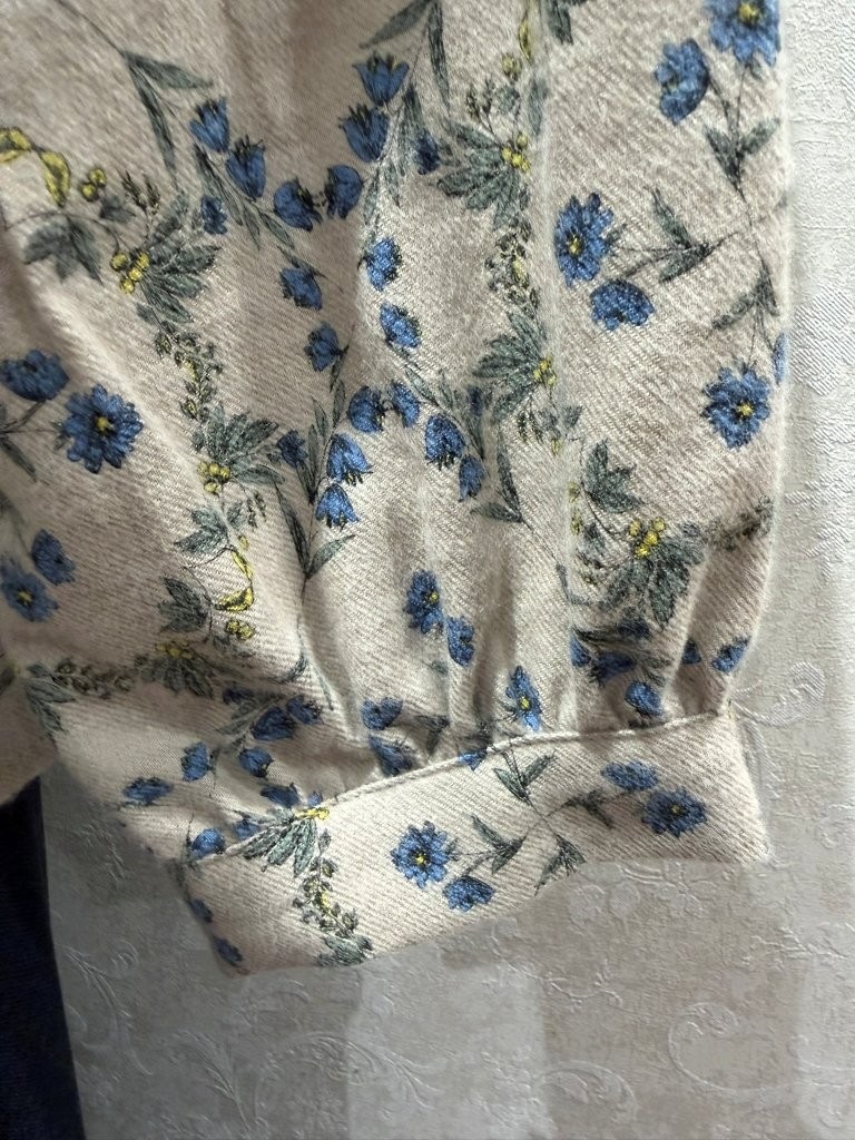 �Х�ɥ��顼���åȥ�ӥ��饷���