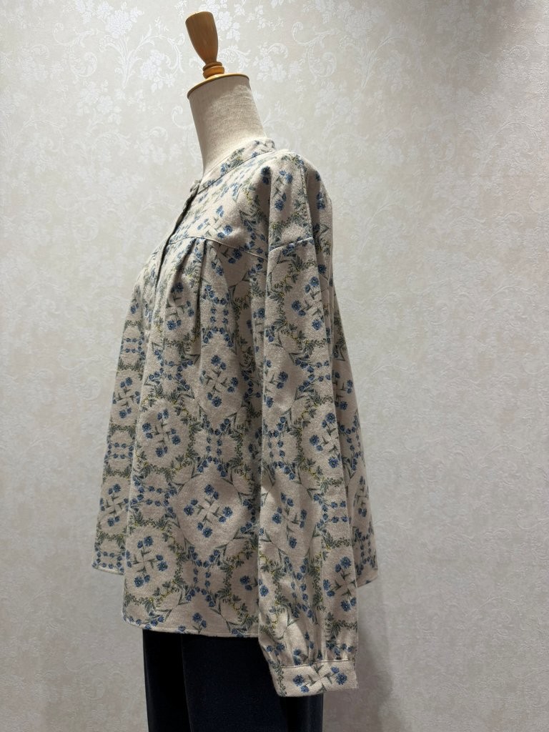 �Х�ɥ��顼���åȥ�ӥ��饷���