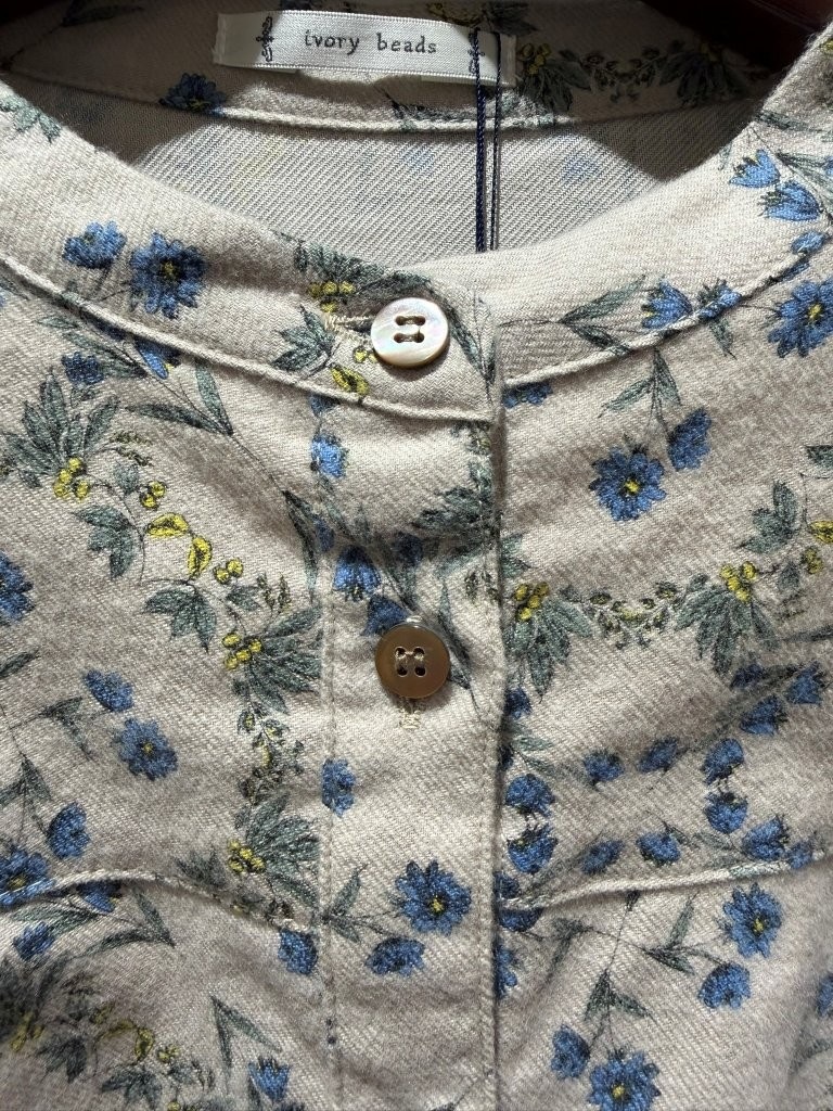 �Х�ɥ��顼���åȥ�ӥ��饷���