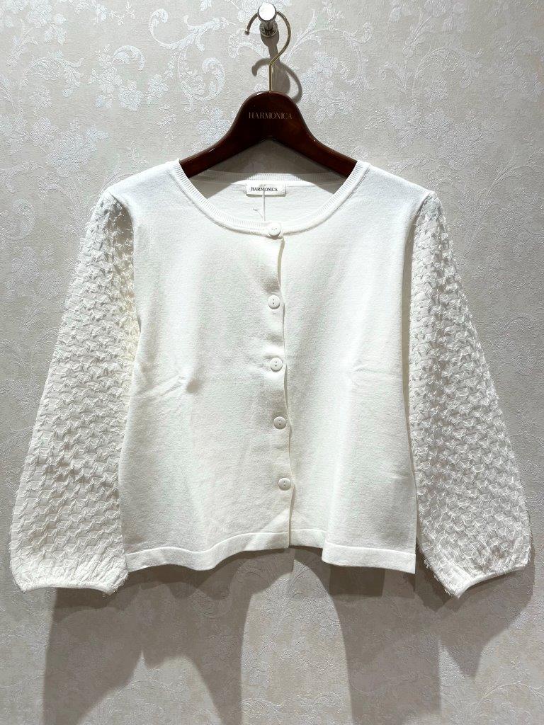 �ե���դ��ܥ�塼��µ�����ǥ�����