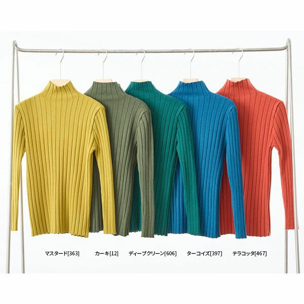 �磻�ɥ�֥ϥ��ͥå��ץ륪���С�(����ä����)