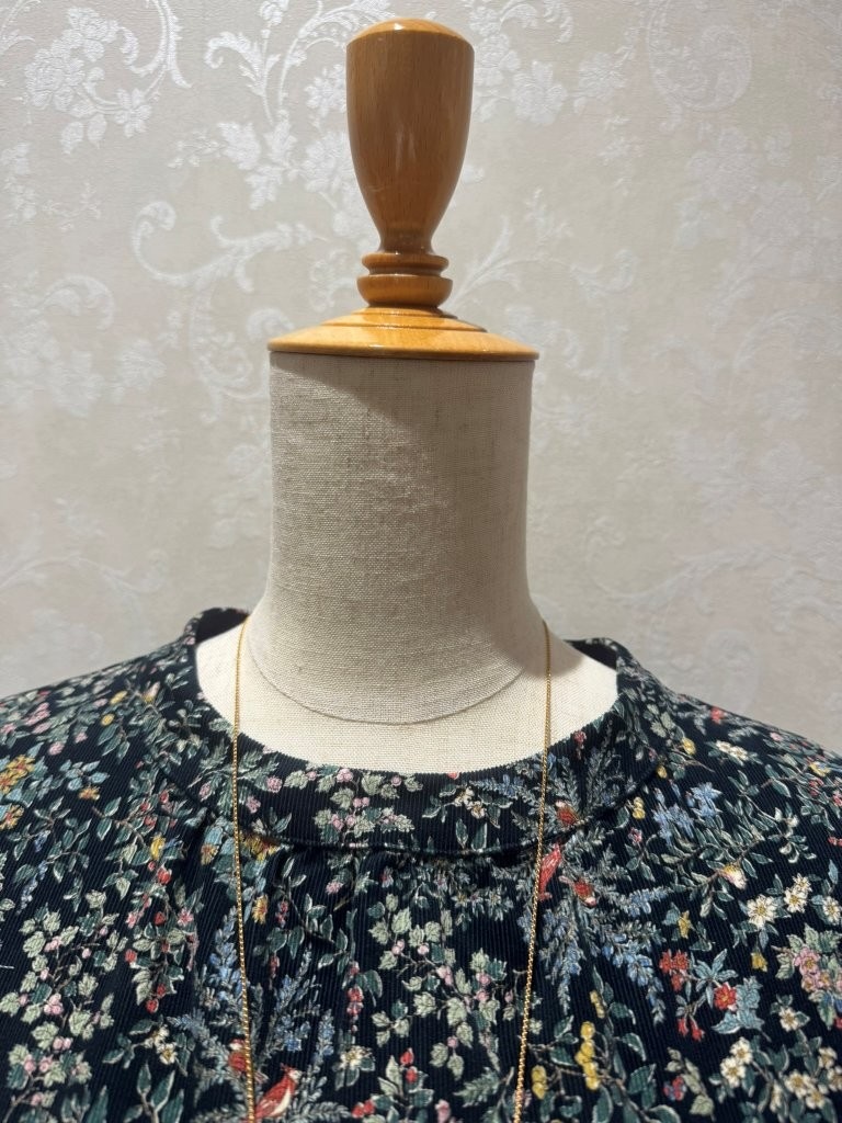 �ܥ��˥���ץ��ȥ����ǥ������å��ͥå��֥饦��