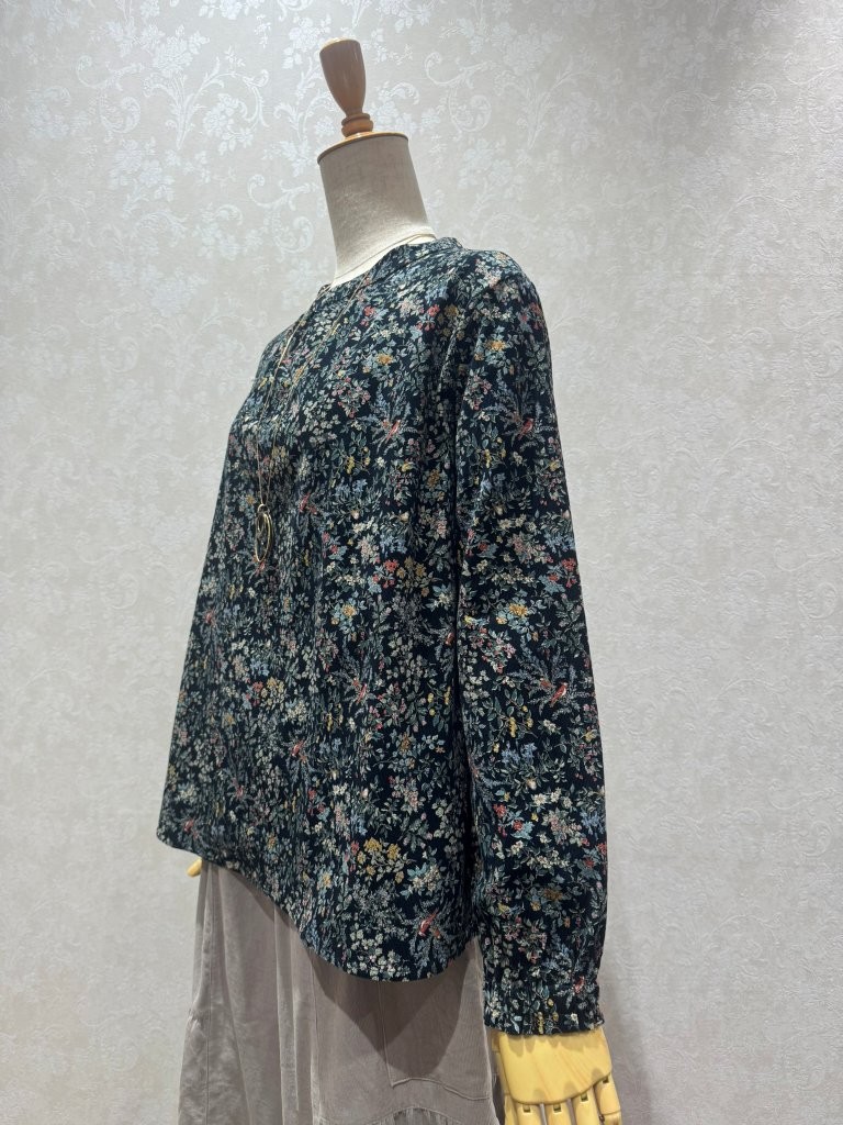 �ܥ��˥���ץ��ȥ����ǥ������å��ͥå��֥饦��