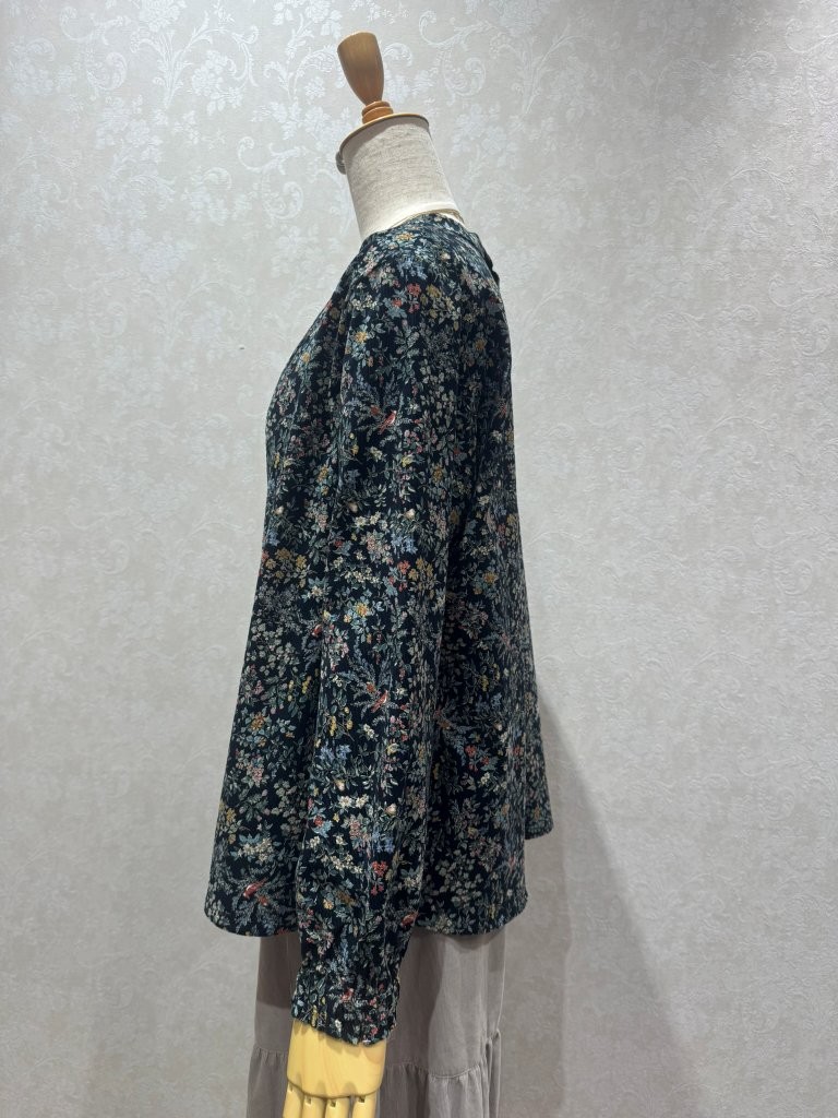 �ܥ��˥���ץ��ȥ����ǥ������å��ͥå��֥饦��