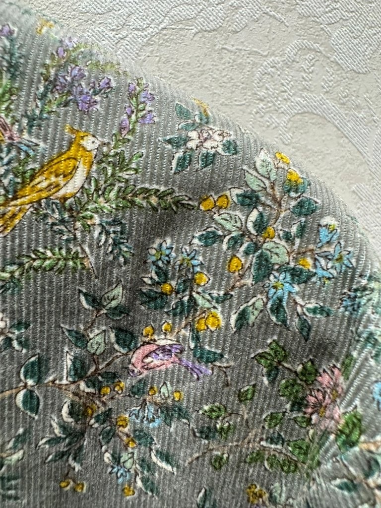 �ܥ��˥���ץ��ȥ����ǥ������å��ͥå��֥饦��