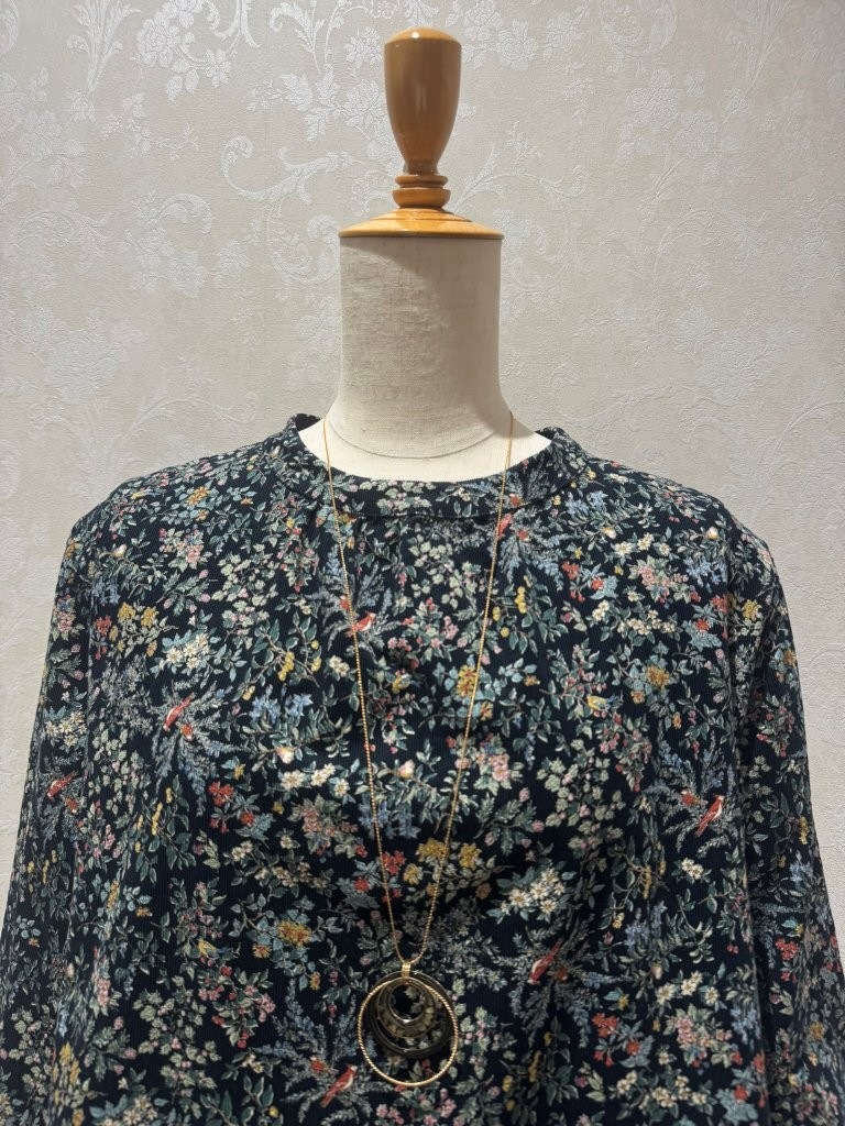 �ܥ��˥���ץ��ȥ����ǥ������å��ͥå��֥饦��