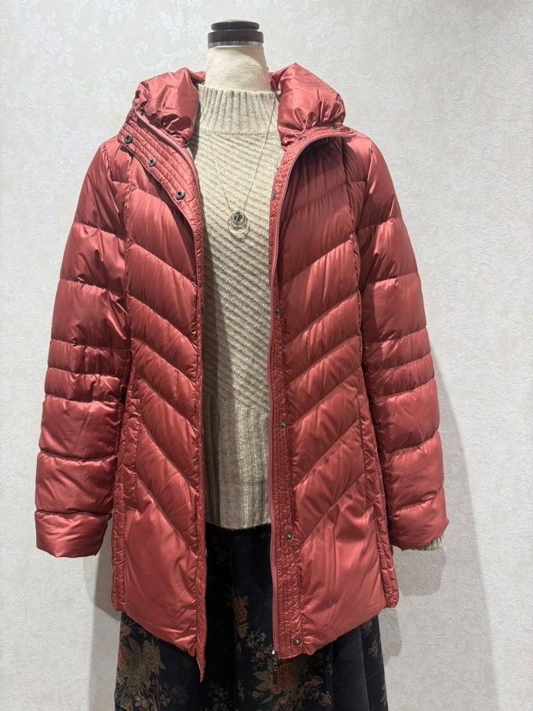 ������ɥ��顼�ߥɥ����̥����󥳡���