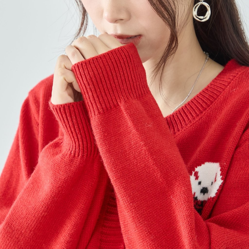 �ɥå�������ջɽ��˥åȥ����ǥ�����