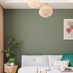 サンゲツ カラー 10色 SP9791〜SP9800 【15m/30m/道具付/道具無】選択 SP 2023-2025 生のり付き壁紙（購入単位：セット）