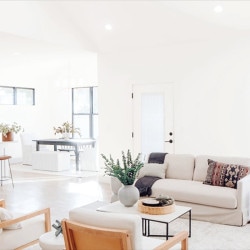 トキワ 天井おすすめ 7色 TWP9341〜TWP9347 【15m/30m/道具付/道具無】 PINEBULL パインブル 2023-2026 生のり付き壁紙 （購入単位：セット）