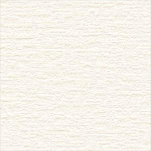 サンゲツ RE55544 吸放湿壁紙 塗り壁調 オフホワイト【15m/30m/道具付/道具無】選択 生のり付き壁紙 ReSERVE リザーブ セット販売（購入単位：セット）