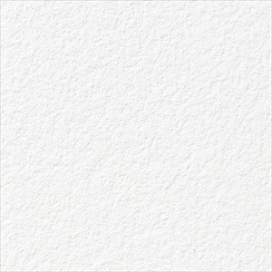 サンゲツ RE55361 抗アレル壁紙  塗り壁調 ホワイト【15m/30m/道具付/道具無】選択 生のり付き壁紙 ReSERVE リザーブ セット販売（購入単位：セット）