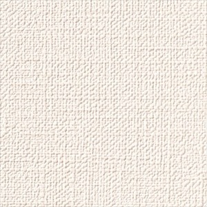 サンゲツ RE55333 抗ウイルス壁紙 【15m/30m/道具付/道具無】選択 生のり付き壁紙 ReSERVE リザーブ セット販売（購入単位：セット）|1000番台壁紙セット|1000番台壁紙