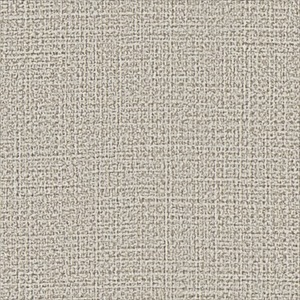 サンゲツ RE55118 カラー 織物調 ライトグレー【15m/30m/道具付/道具無】選択 生のり付き壁紙 ReSERVE リザーブ セット販売（購入単位：セット）