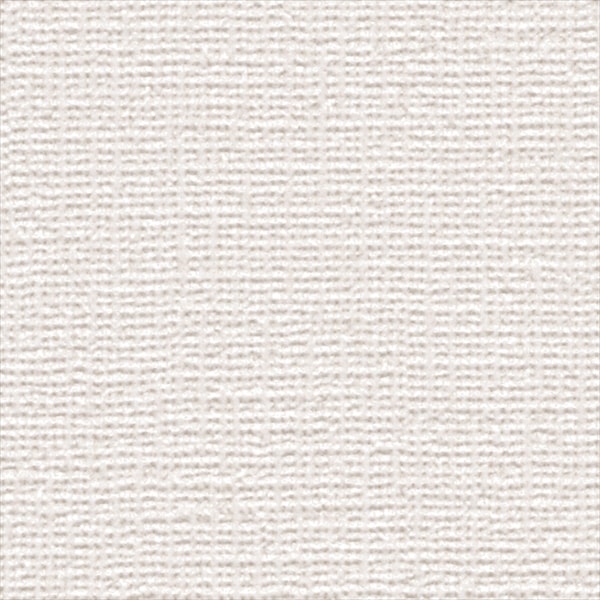 サンゲツ SP2572 織物調 ホワイト モダン エレガント【15m/30m/道具付/道具無】選択 生のり付き壁紙 SP 2025-2027(購入単位:セット)