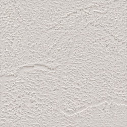 サンゲツ SP2549 塗り調 ライトグレー モダン【15m/30m/道具付/道具無】選択 生のり付き壁紙 SP 2025-2027（購入単位：セット）