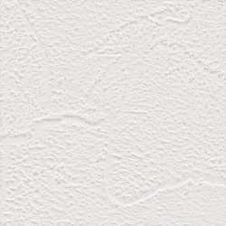 サンゲツ SP2548 塗り調 ホワイト 滑らかで美しいコテ跡【15m/30m/道具付/道具無】選択 生のり付き壁紙 SP 2025-2027（購入単位：セット）