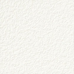 サンゲツ SP2511 塗り壁調 ホワイト ベーシック【15m/30m/道具付/道具無】選択 生のり付き壁紙 SP 2025-2027（購入単位：セット）