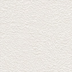 サンゲツ SP2503 塗り調 オフホワイト マットな素材感【15m/30m/道具付/道具無】選択 生のり付き壁紙 SP 2025-2027（購入単位：セット）