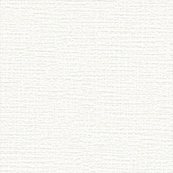 リリカラ XR-611 織物調 オフホワイト【15m/30m/道具付/道具無】選択 生のり付き壁紙 XR 2025-2027（購入単位：セット）|リリカラ エックスアール XRクロス|量産クロス・ベー