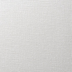 ※のり無し壁紙 ルノン 厚みのある不燃設定壁紙 18色 RF-3225〜RF-3242 FRESH（フレッシュ） 2025-2028 （購入単位：m） 1本(1巻)最大50m|のり無し壁紙|壁のおしゃ