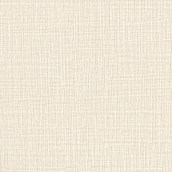 リリカラ LL-6805 タフクリーン 【15m/30m/道具付/道具無】選択 生のり付き壁紙 LIGHT 2025 - 2028 セット販売（購入単位：セット）|1000番台壁紙セット|1000番台