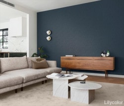 リリカラ LL-6804 タフクリーン 【15m/30m/道具付/道具無】選択 生のり付き壁紙 LIGHT 2025 - 2028 セット販売（購入単位：セット）|1000番台壁紙セット|1000番台