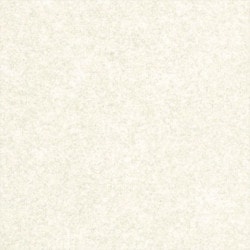 リリカラ LL-6770 消臭+汚れ防止 【15m/30m/道具付/道具無】選択 生のり付き壁紙 LIGHT 2025 - 2028 セット販売（購入単位：セット）|1000番台壁紙セット|1000番