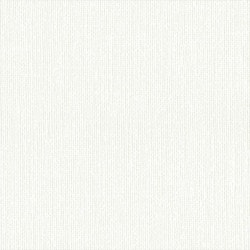 リリカラ LL-6735 消臭+汚れ防止 【15m/30m/道具付/道具無】選択 生のり付き壁紙 LIGHT 2025 - 2028 セット販売（購入単位：セット）|1000番台壁紙セット|1000番