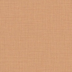 リリカラ LL-6729 消臭+汚れ防止 【15m/30m/道具付/道具無】選択 生のり付き壁紙 LIGHT 2025 - 2028 セット販売（購入単位：セット）|1000番台壁紙セット|1000番