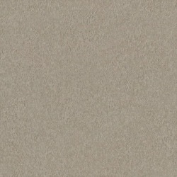 リリカラ LL-6710 消臭+汚れ防止 【15m/30m/道具付/道具無】選択 生のり付き壁紙 LIGHT 2025 - 2028 セット販売（購入単位：セット）|1000番台壁紙セット|1000番