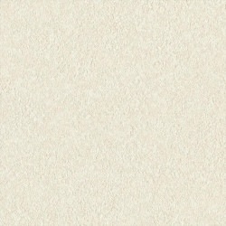 リリカラ LL-6707 消臭+汚れ防止 【15m/30m/道具付/道具無】選択 生のり付き壁紙 LIGHT 2025 - 2028 セット販売（購入単位：セット）|1000番台壁紙セット|1000番