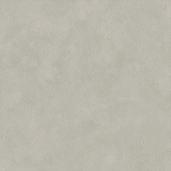 リリカラ LL-6687 スーパー強化+汚れ防止　ペット対応 【15m/30m/道具付/道具無】選択 生のり付き壁紙 LIGHT 2025 - 2028 セット販売（購入単位：セット）|1000番台壁