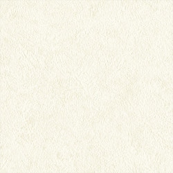 リリカラ LL-6577 シアガリキレイ　ボリュームタイプ　 【15m/30m/道具付/道具無】選択 生のり付き壁紙 LIGHT 2025 - 2028 セット販売（購入単位：セット）|1000番台壁