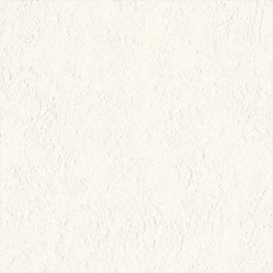 リリカラ LL-6570 シアガリキレイ　ボリュームタイプ　 【15m/30m/道具付/道具無】選択 生のり付き壁紙 LIGHT 2025 - 2028 セット販売（購入単位：セット）|1000番台壁