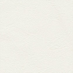 リリカラ LL-6556 シアガリキレイ　ボリュームタイプ　 【15m/30m/道具付/道具無】選択 生のり付き壁紙 LIGHT 2025 - 2028 セット販売（購入単位：セット）|1000番台壁