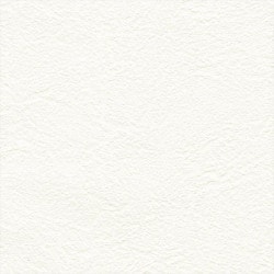 リリカラ LL-6555 シアガリキレイ　ボリュームタイプ　 【15m/30m/道具付/道具無】選択 生のり付き壁紙 LIGHT 2025 - 2028 セット販売（購入単位：セット）|1000番台壁